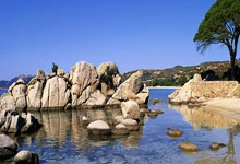 PG Soft Gaming-德国队轻取韩国队，安赛龙惊艳四座的简单介绍