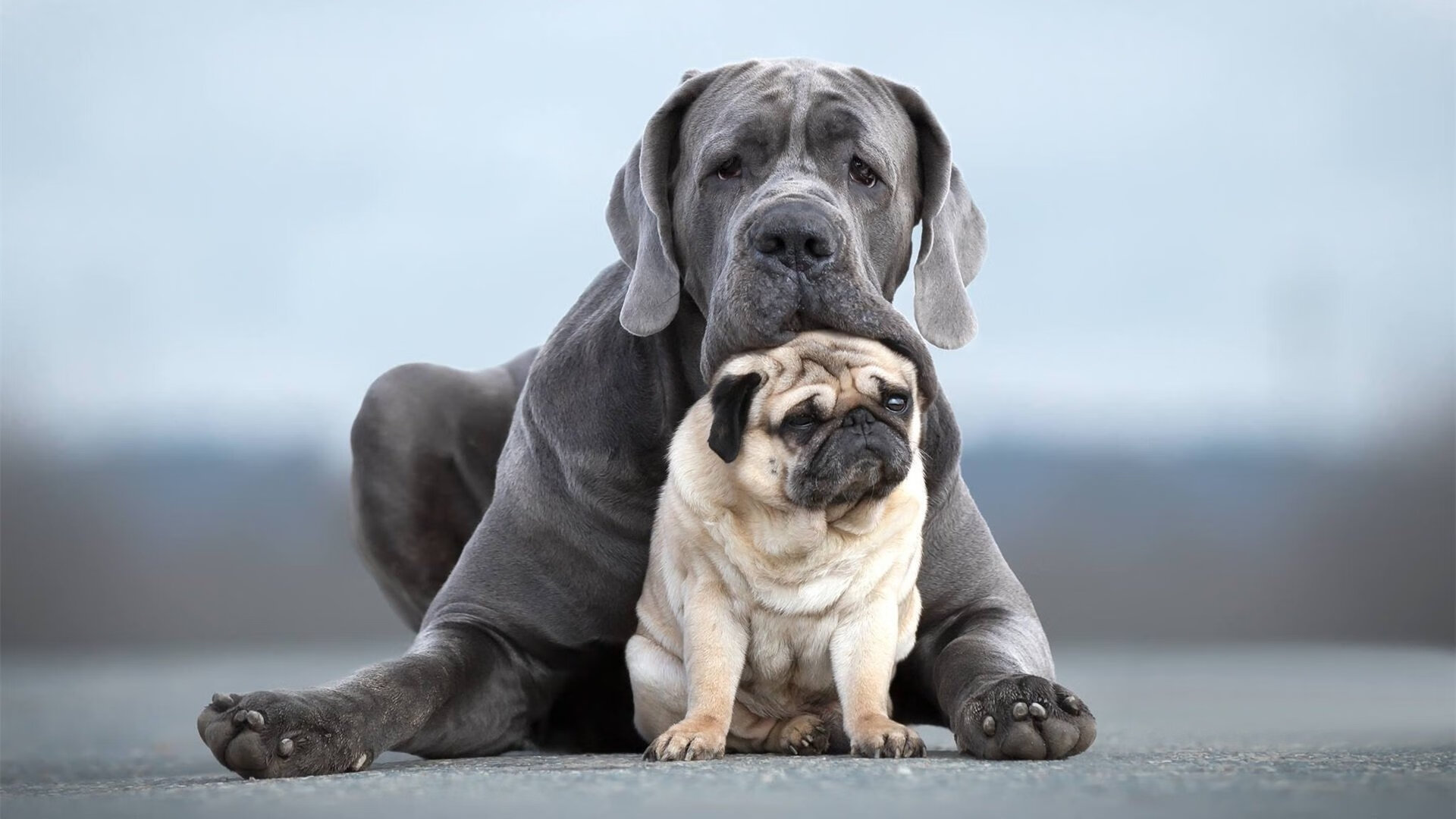 PG电子试玩官网-跨越赛场，辽宁轻取步行者，字母哥欧冠决赛封神